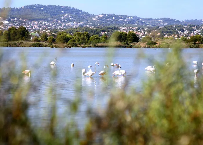 Casa Miramar Seaview Bbq Pool 250m From *