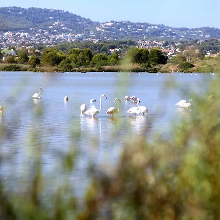 Casa Miramar Seaview Bbq Pool 250m From *